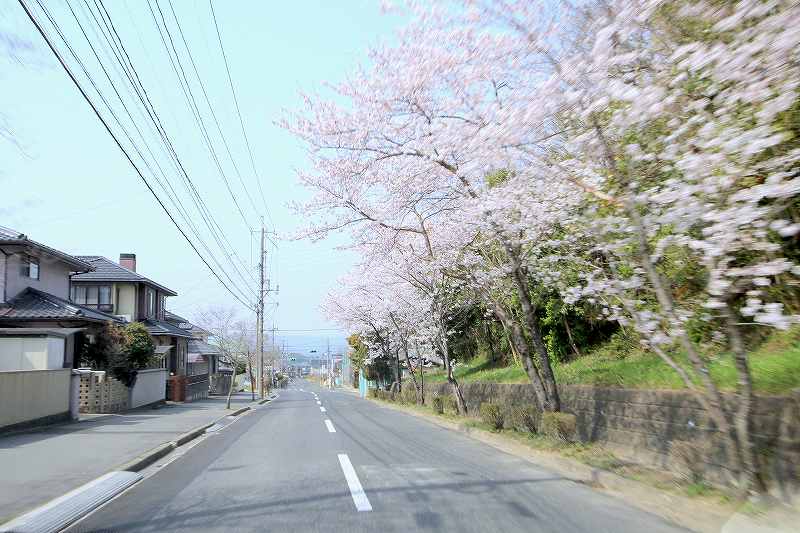 春の倉敷市内の団地