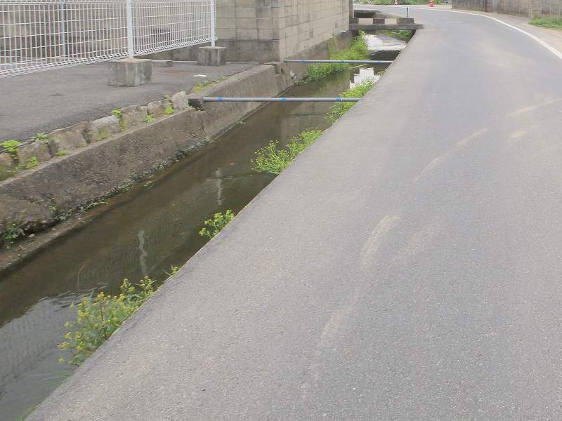 倉敷市内の道の脇の水路