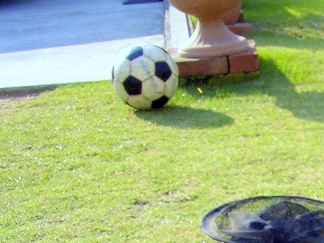お庭とサッカーボール