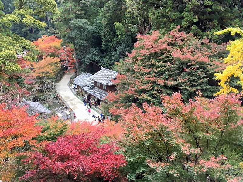 紅葉がきれいな圓教寺