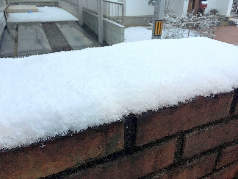 倉敷市の積雪の様子